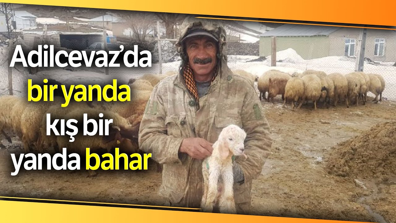 Adilcevaz’da Bir Yanda Kış Bir Yanda Bahar
