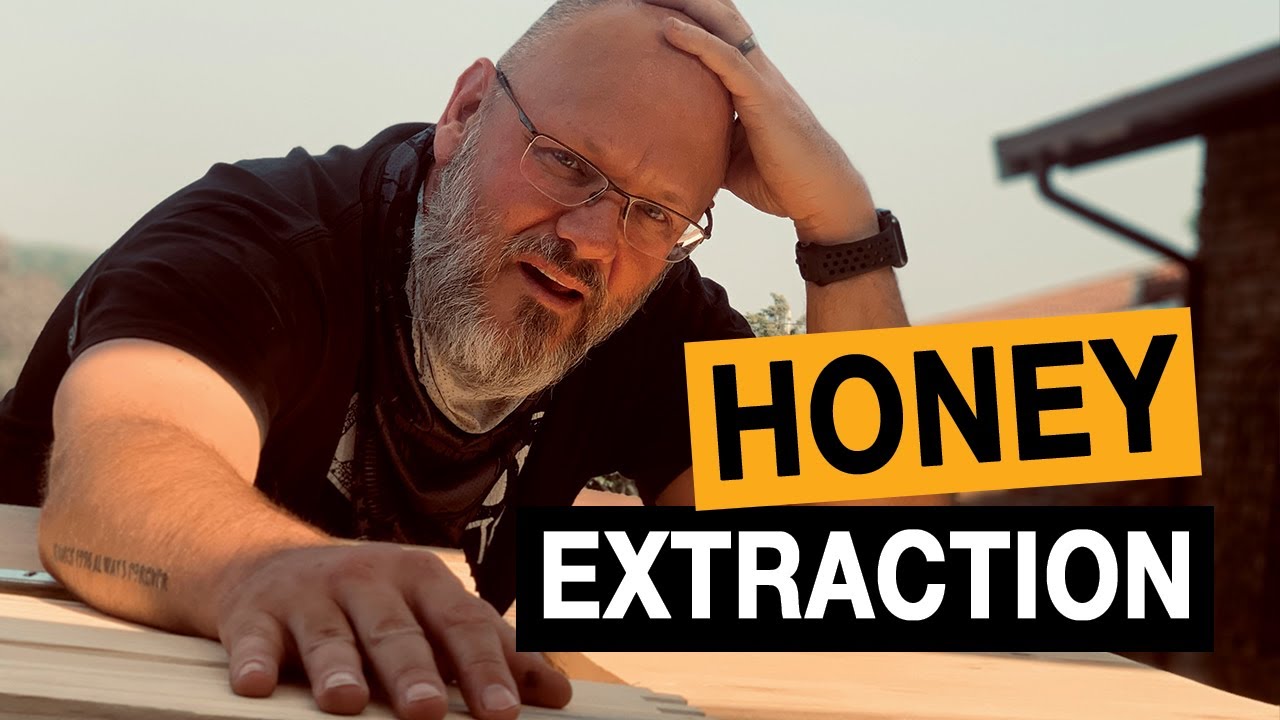 African Bee Honey Processing (Large scale honey extraction)