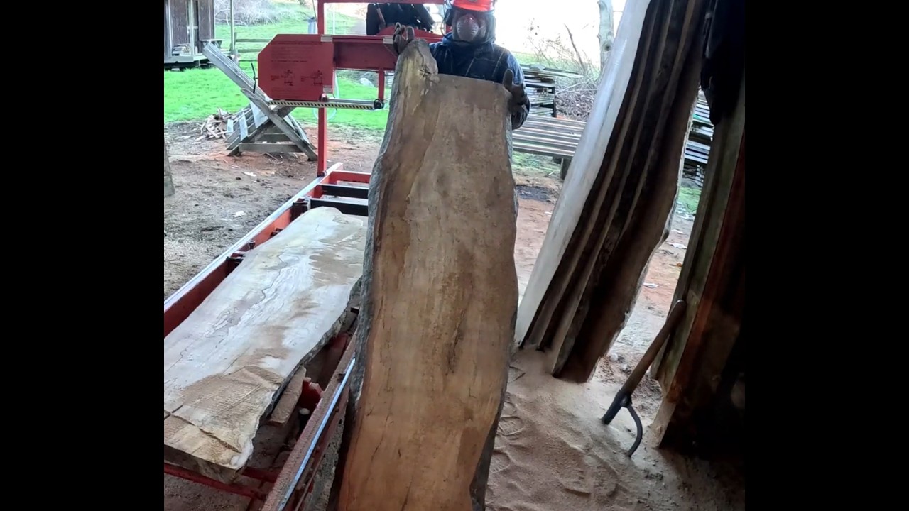 Spalted Big leaf maple slabs, Milled with Wood-Mizer L-T 15