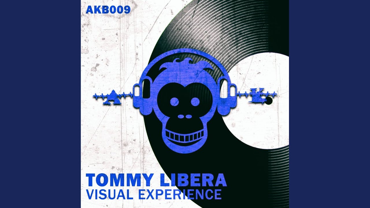 Visual Experience (Original Mix)