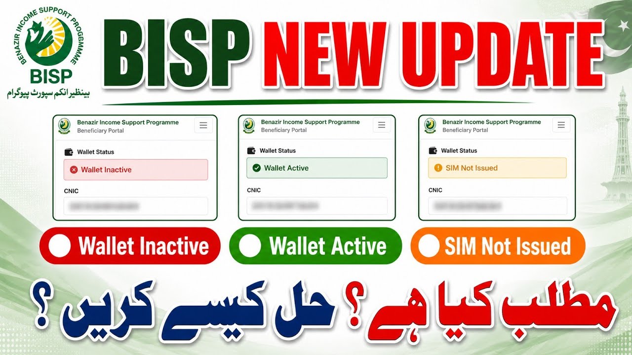 8171 Web Portal Update | Sim Not Active| wallet Inactive| wallet Active|