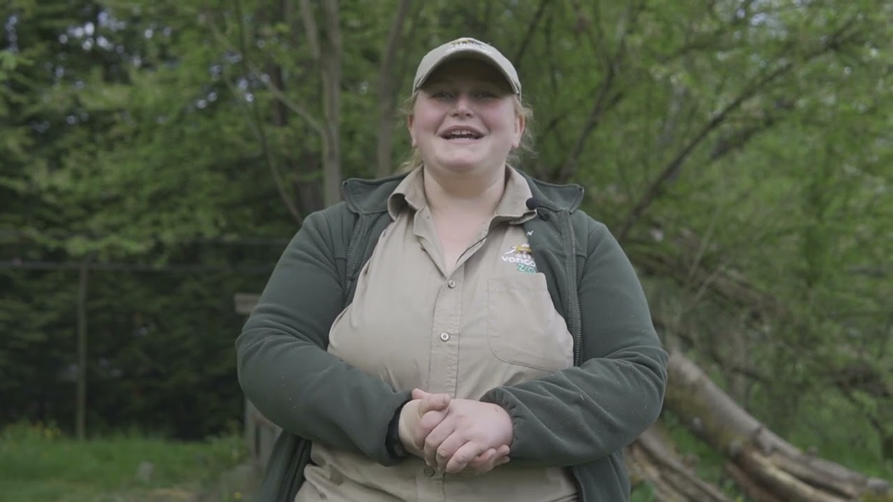 Red Fox Talks with Keeper Kayla