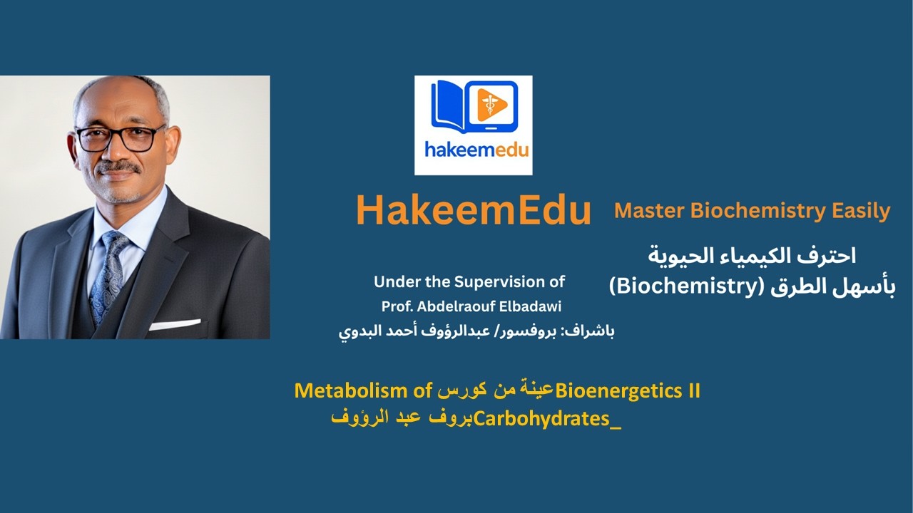 Bioenergetics II   عينة من كورس Metabolism of Carbohydrates بروف عبد الرؤوف
