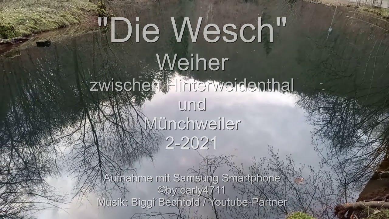 Weiher in de Wesch - Waschtal Hinterweidenthal S&uuml;dwestpfalz Germany 2-2021