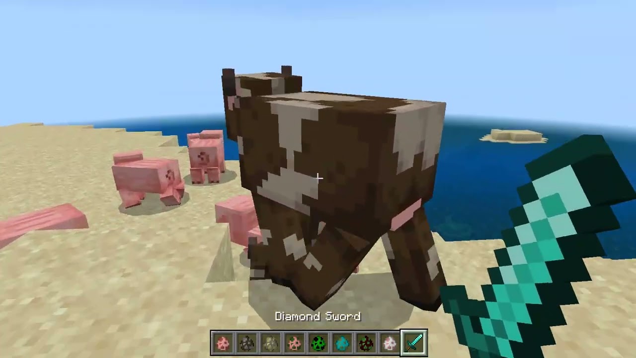 MINECRAFT ANIMATION MOD