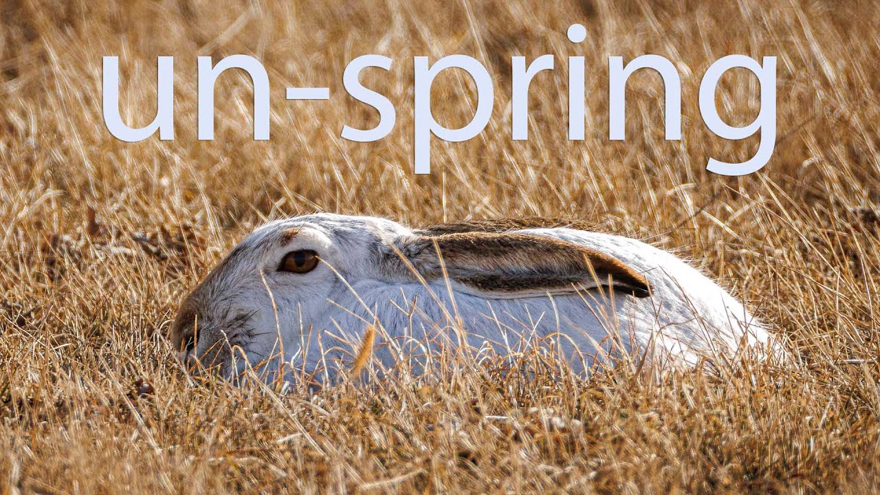 Un Spring