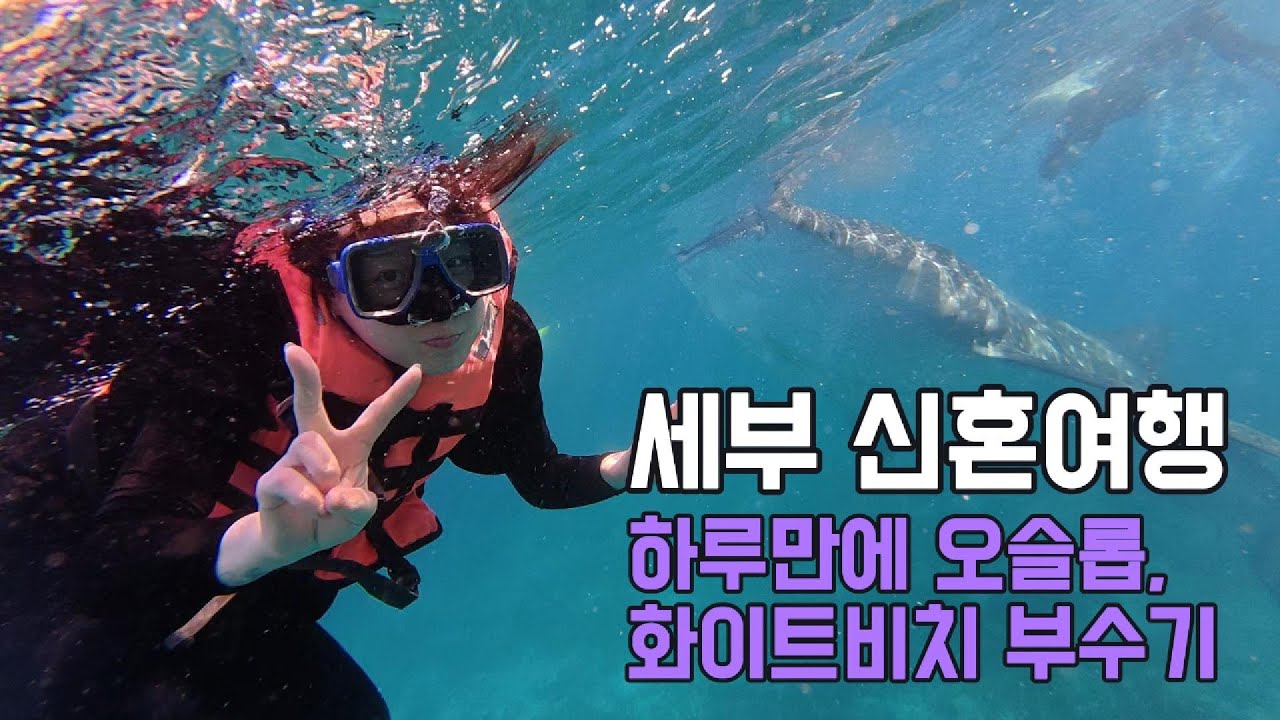🇵🇭 모알보알 물갈이 부부의 오슬롭 & 화이트비치 투어 [세부 신혼여행 4]