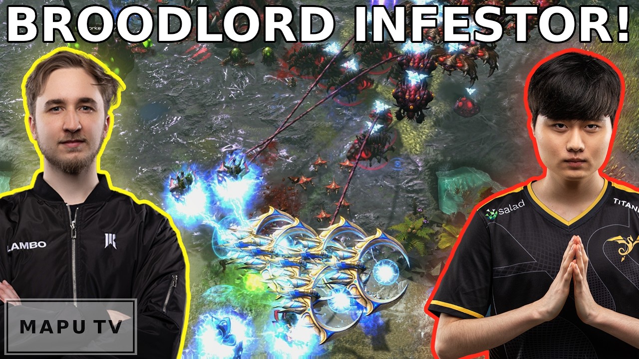 IT IS BACK! Broodlord Infestor! Lambo vs Zoun - Bo3 - (StarCraft 2)