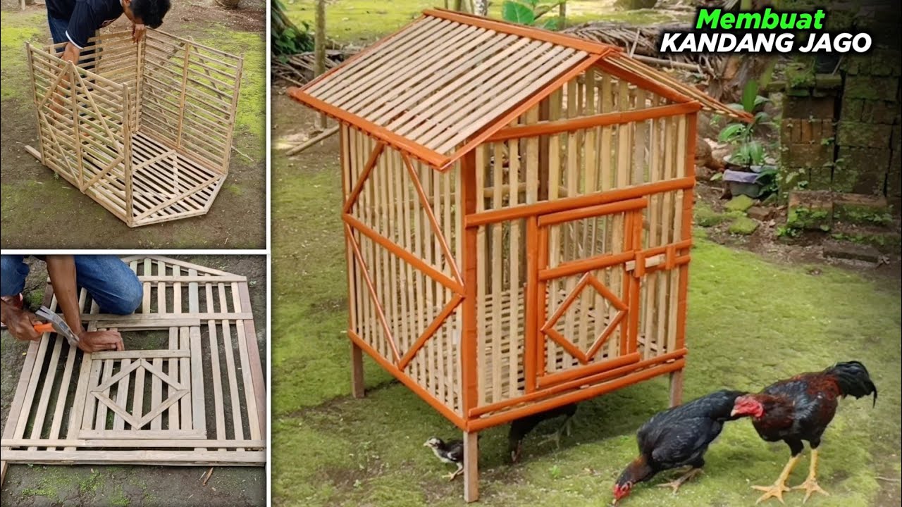 MEMBUAT KANDANG AYAM JAGO SEDERHANA DARI BAMBU DAN KAYU