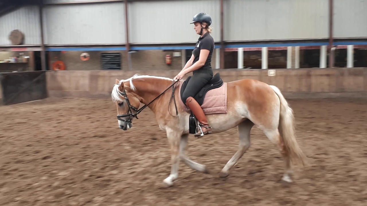 Eliva 11 sept. 2019 - Natuurpoort van Loon