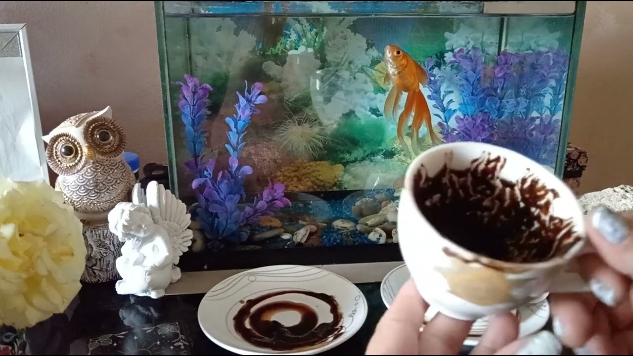 🐠Izaberi šolju❣️