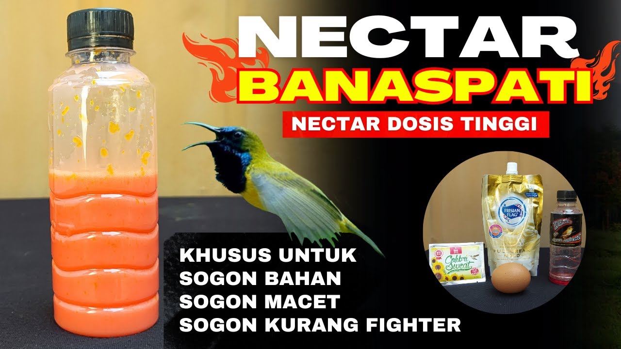 INILAH NEKTAR BANASPATI❗NEKTAR AMPUH UNTUK GACORKAN SOGON BAHAN & MACET BUNYI❗
