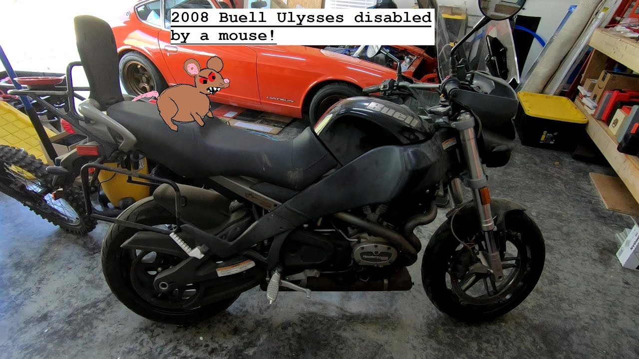 08 Buell Ulysses repair