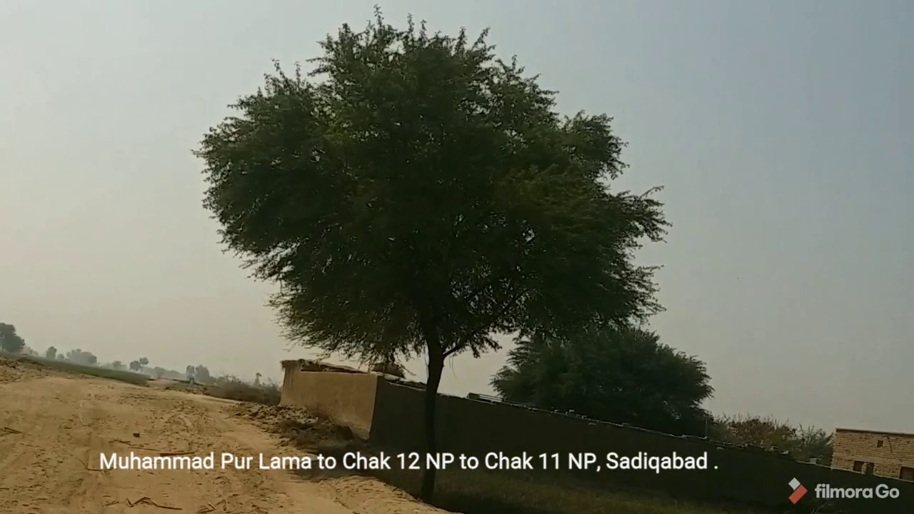 Muhammad Pur Lama to Chak 12 NP to 11NP, Sadiqabad.
