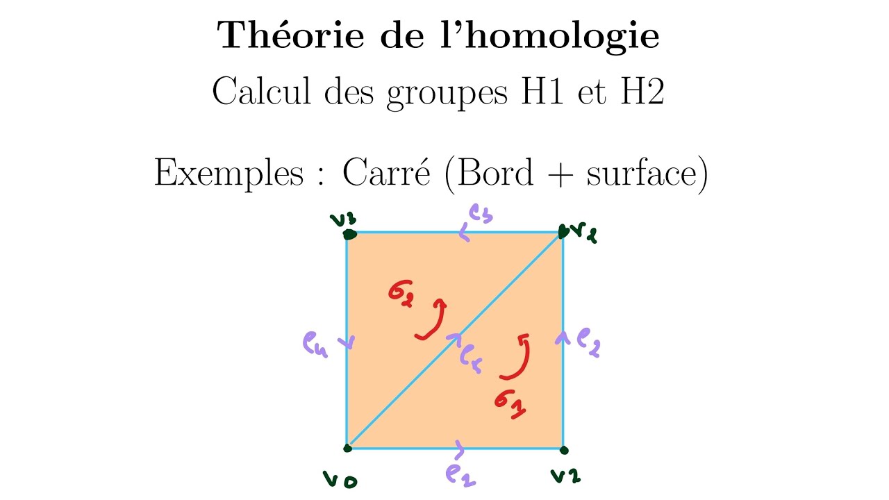 Théorie de l'homologie - Calcul des groupes d'homologie H1 et H2 d'un carré (bord + intérieur)