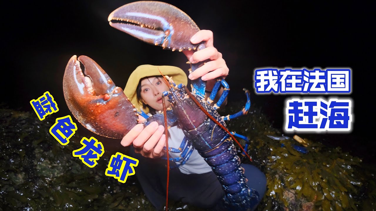 在法国赶海，夜袭3斤重的海蓝大龙虾，烤熟后甜脆弹牙 | 趕海 | 法國 | 海鲜 | 龙虾 | 美食 | 烧烤 | 抓螃蟹 |