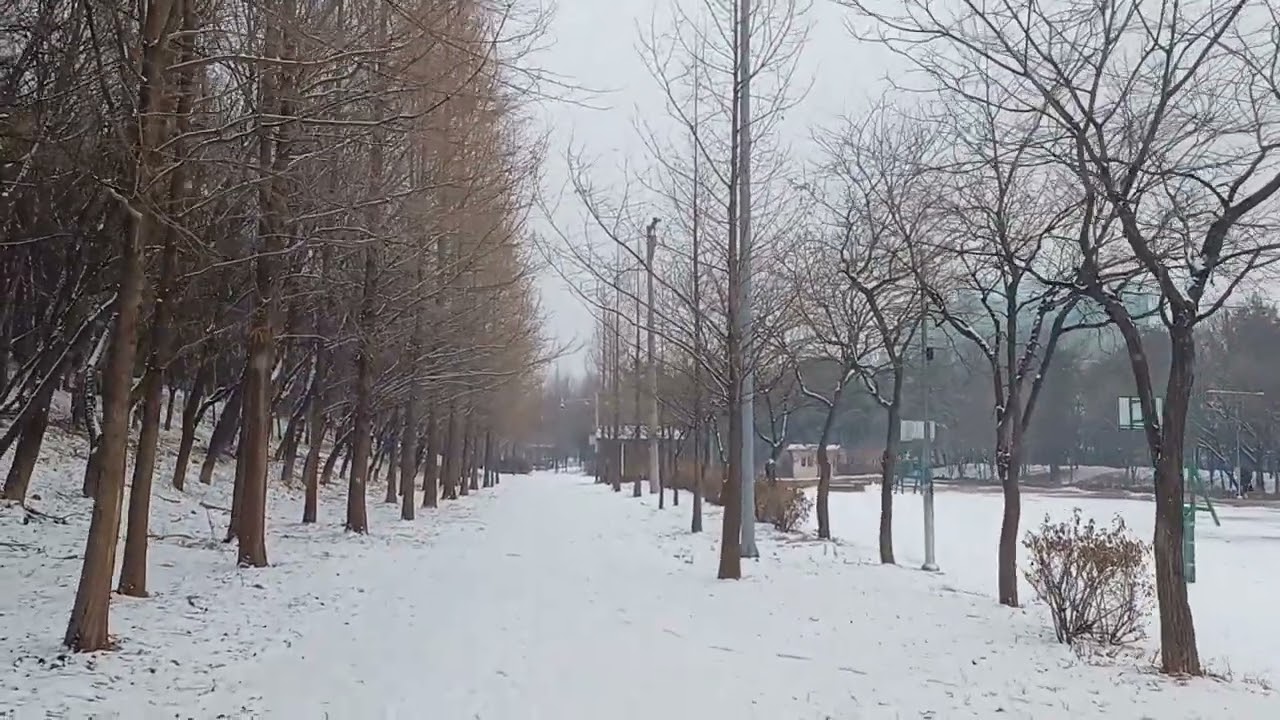 Winter Wonders in Siheung South Korea 2024: Exploring Snowfall | Economic Insights & Scenic Beauty