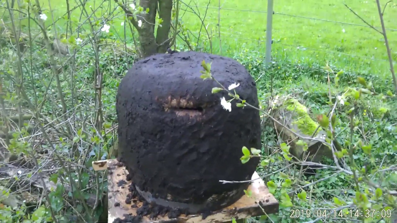 Bienenkorb vorbereiten zum Bezug