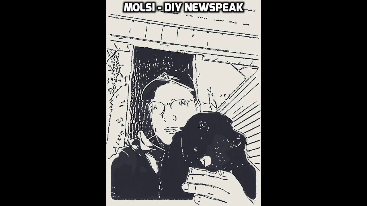 MOLSI -  DIY Newspeak