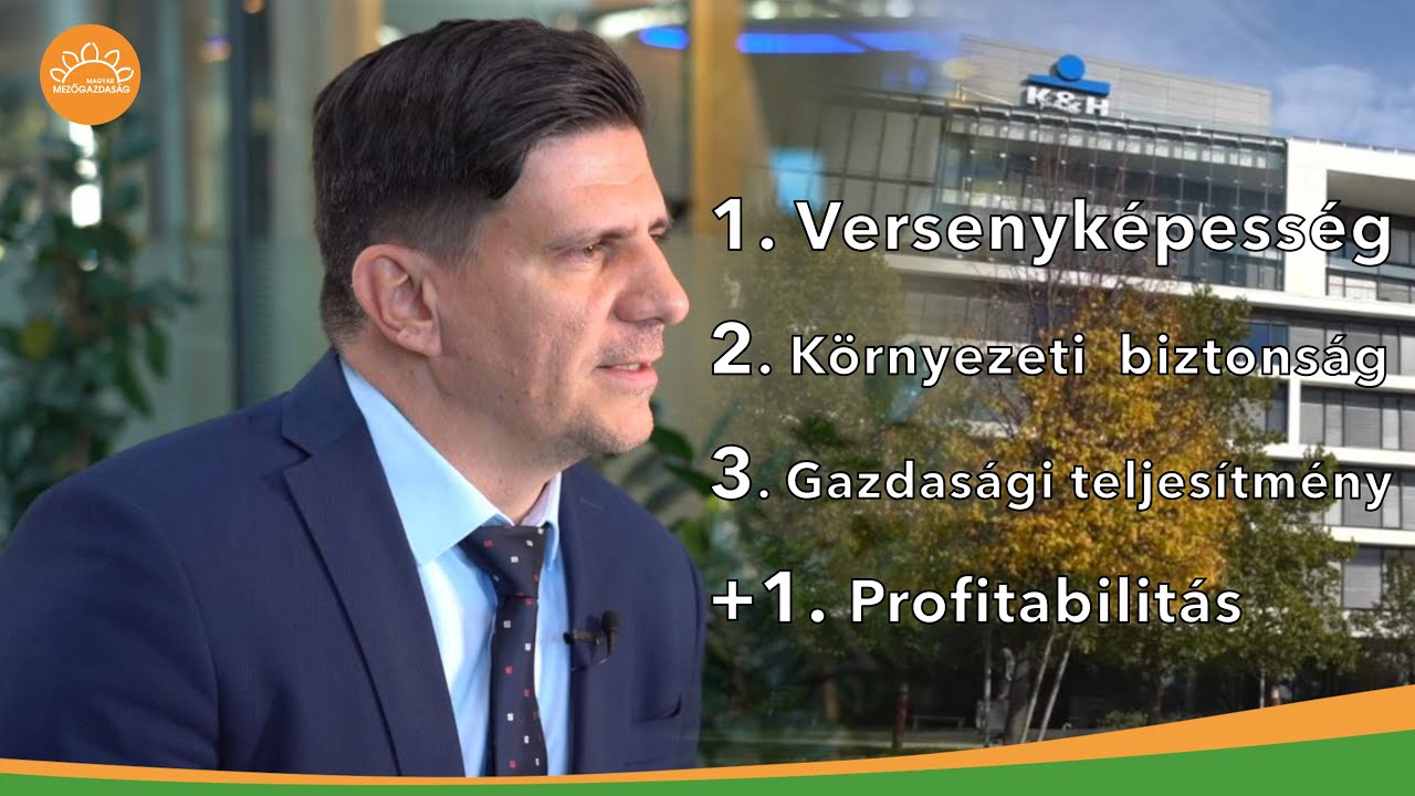 Mi kell a sikeres hitelbírálathoz? Segít a K&H eligazodni | MMG