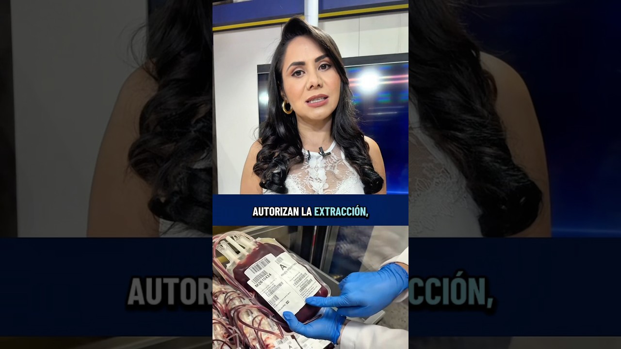 Resumen de las noticias del d&iacute;a