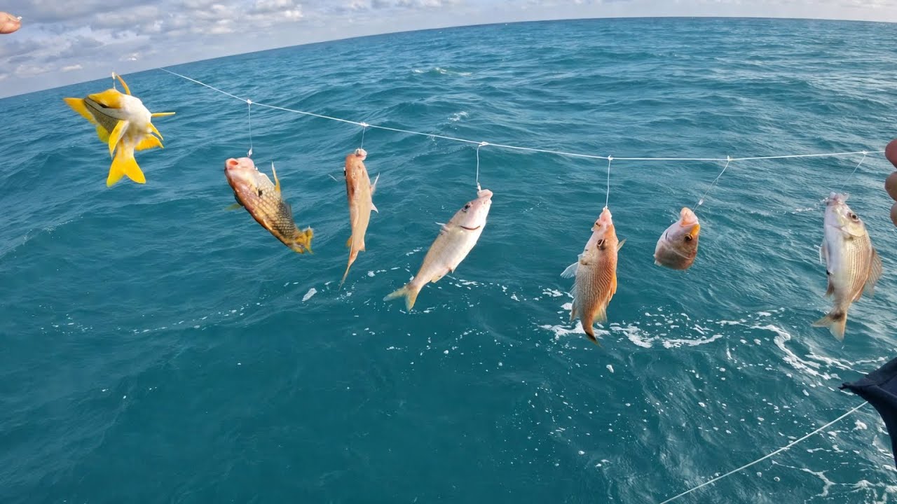 SE A LINHA JÁ ESTÁ ASSIM , IMAGINA O QUE VEM DEPOIS 🔥🎆🐟