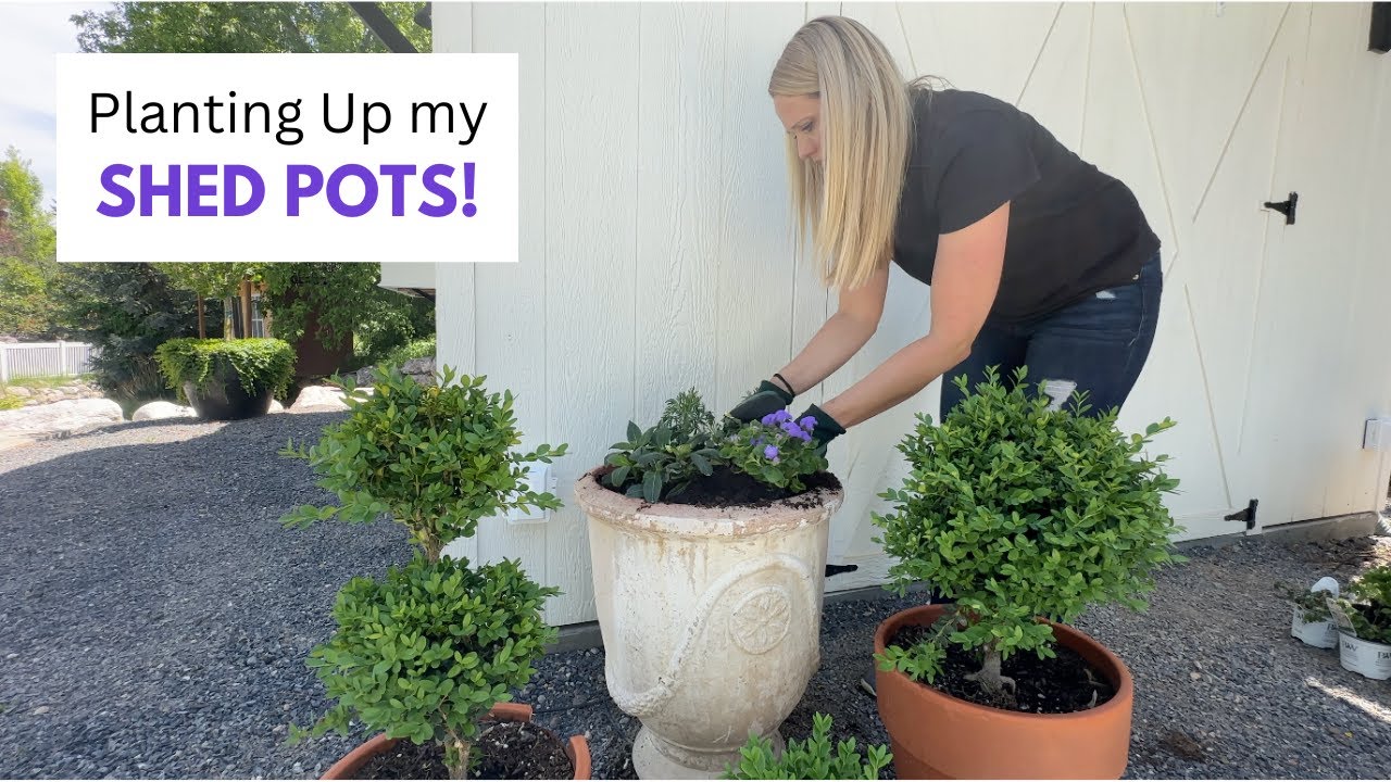 Planting My Shed Pots!