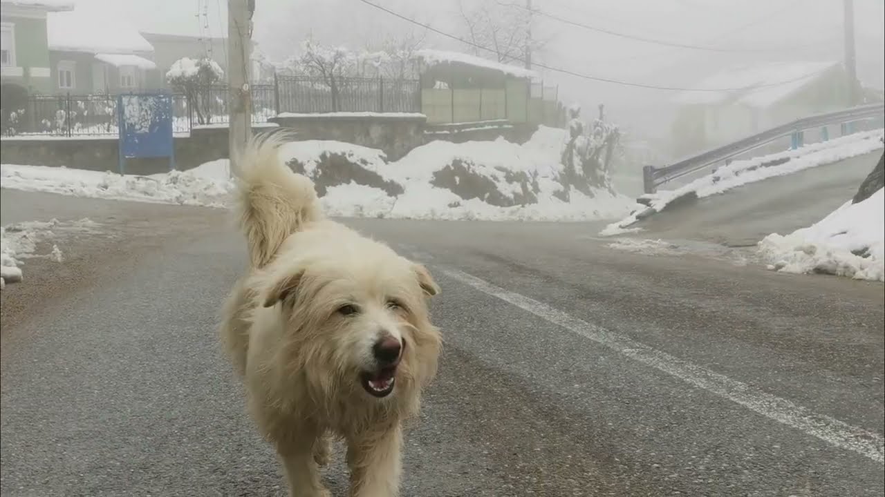 Satul Ghelari din Ținutul Pădurenilor. Ultima zi de iarnă