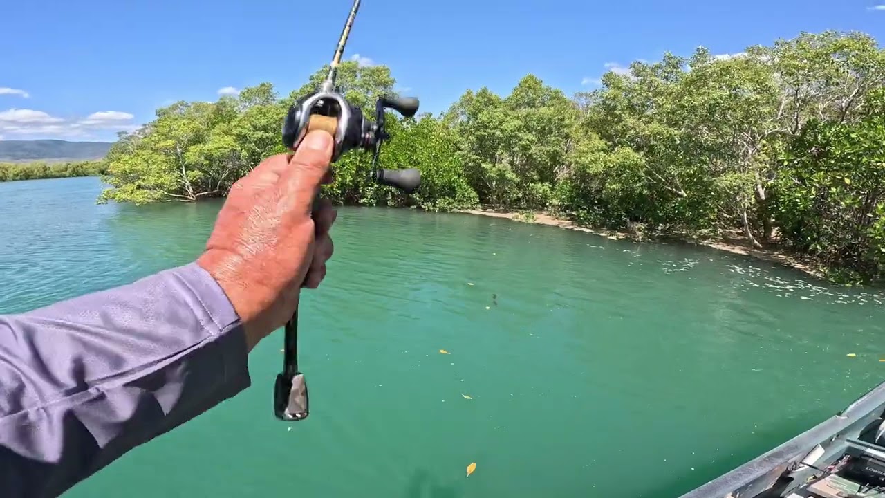 North Queensland casting lures for Mangrove Jack.