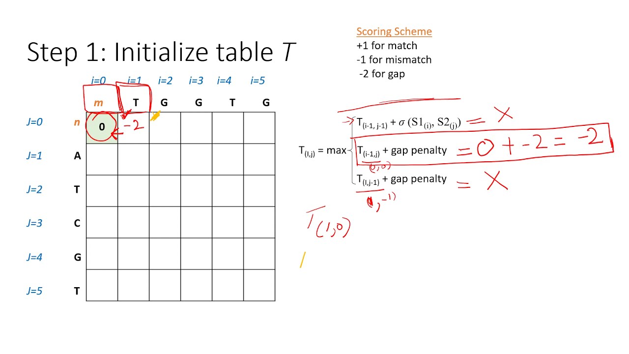 Introduction to Bioinformatics - Needleman Wunsch Algorithm