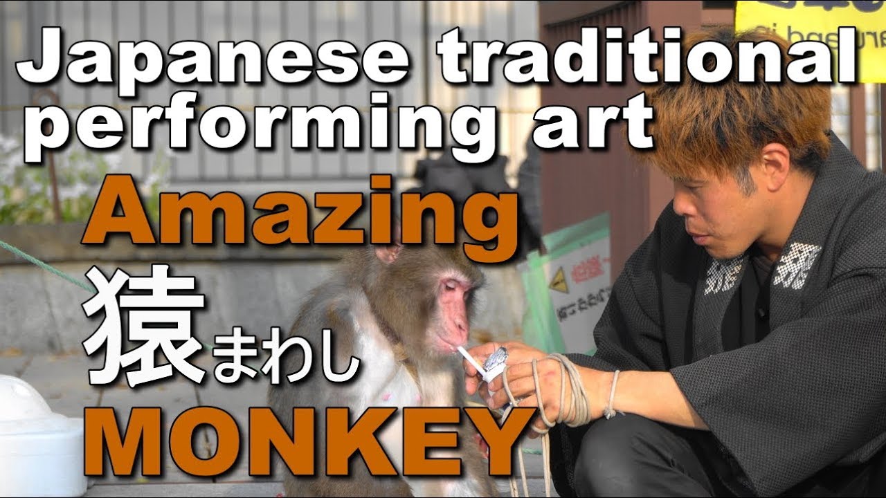 [ 4K ]日光さる軍団（不忍池・上野・東京）🐵 Amazing monkey video/ Japanese traditional performing art [tokyo japan]