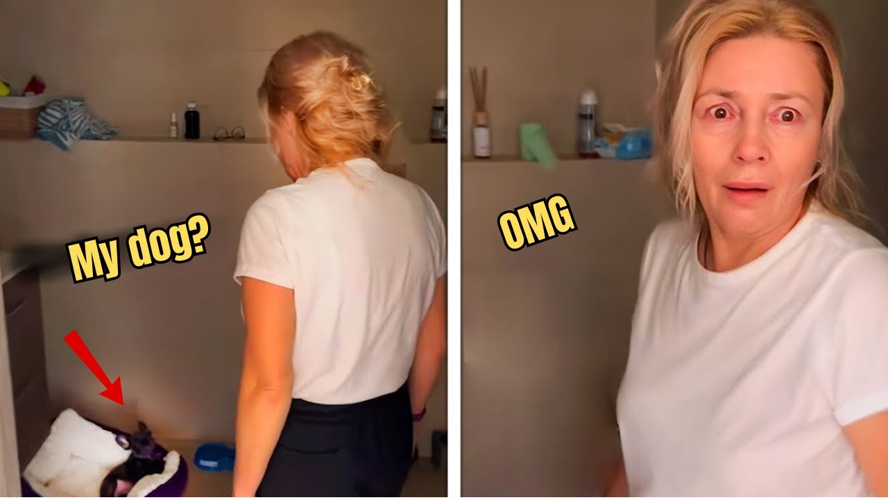 New Puppy Surprise Compilation 2025! 💕Wholesome Surprise Moments