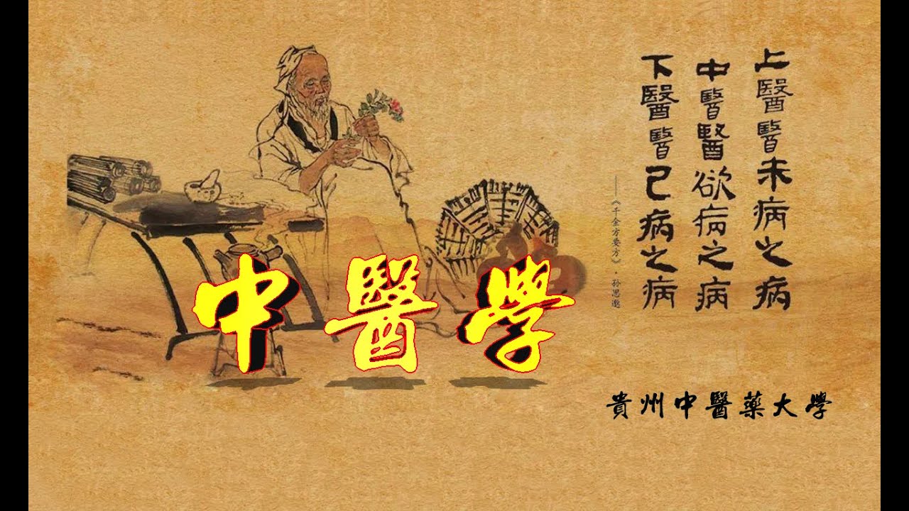 中医学 中医方剂 常用中药方子  四神丸