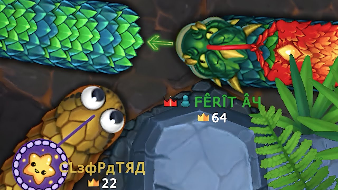 Little Big Snake Epic Battle OMG Moment🤣