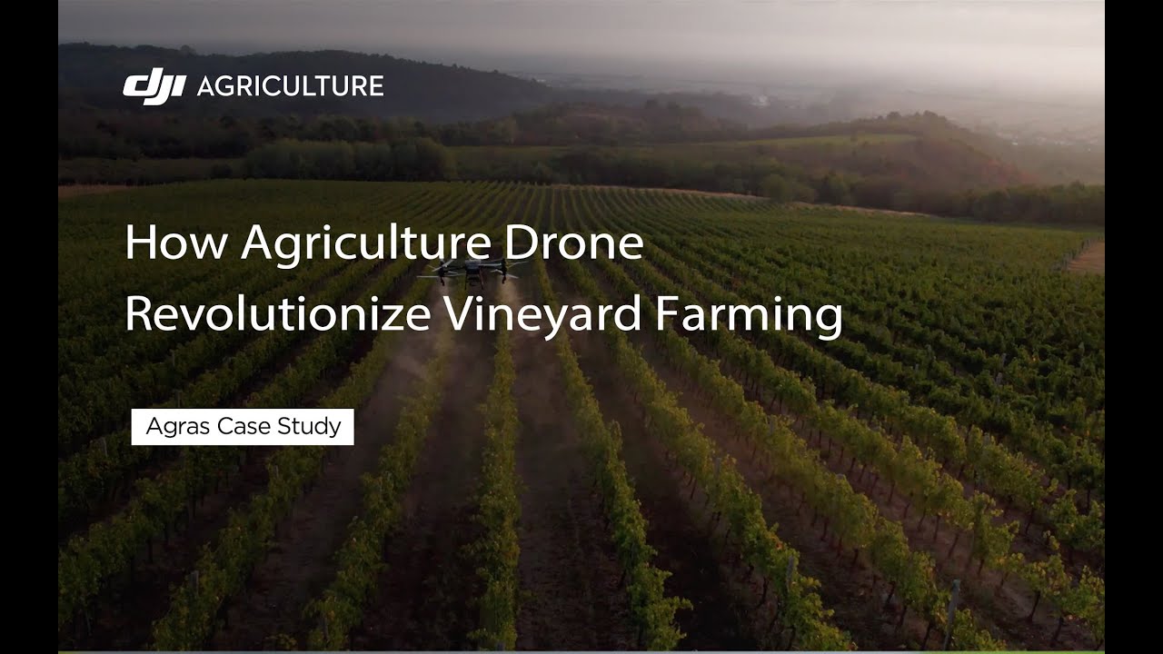 How Agriculture Drone Revolutionize Vineyard Farming