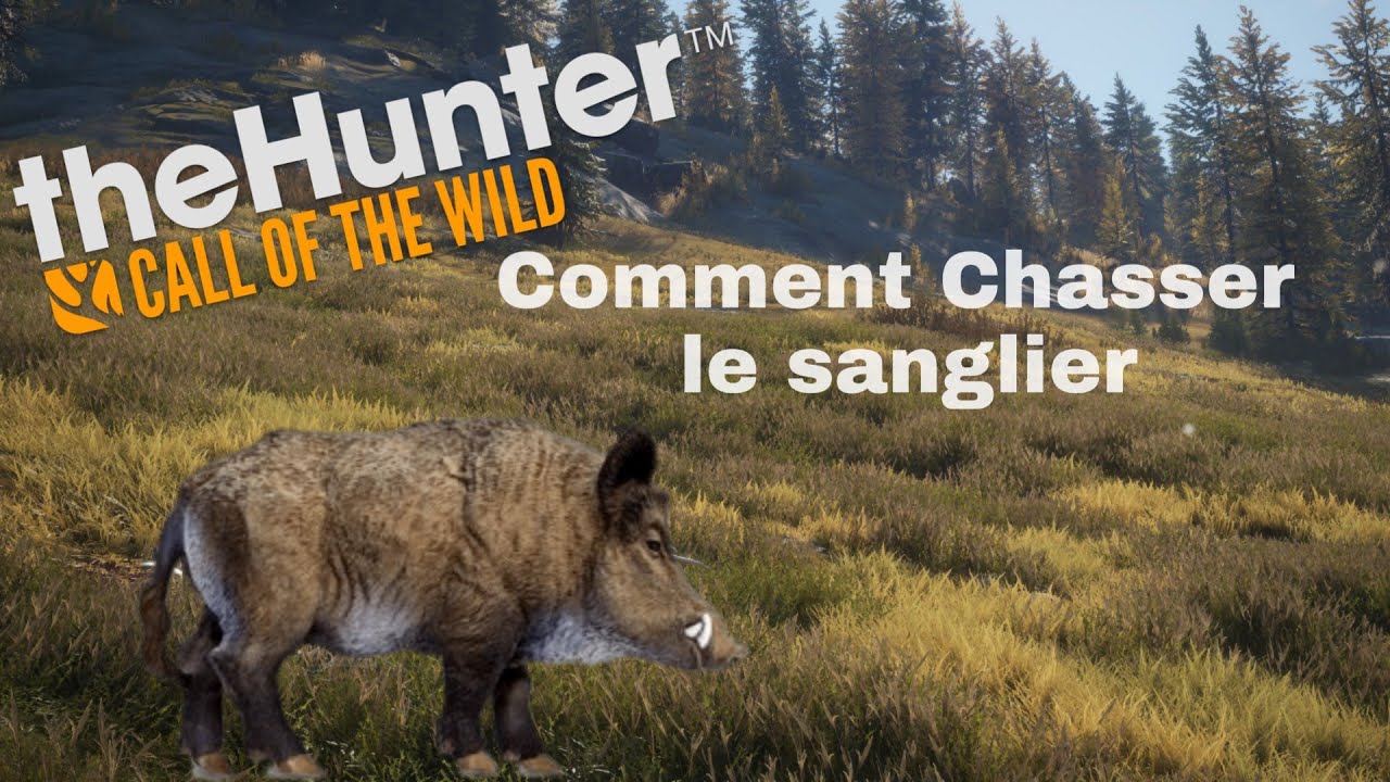 Comment chasser le sanglier|The Hunter COTW