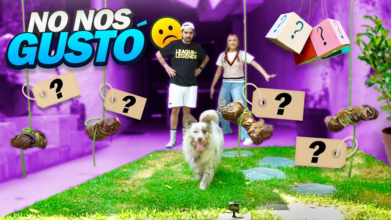 EL NUEVO PERRITO ELIGE SU NOMBRE
