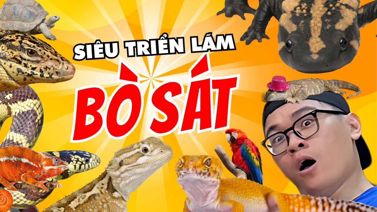 TRIỂN LÃM BÒ SÁT BỰ KHỦNG KHIẾP BUỘC PHẢI TỚI KHI ĐẾN THÁI LAN |T-REX EXPO |THÈM BÒ SÁT