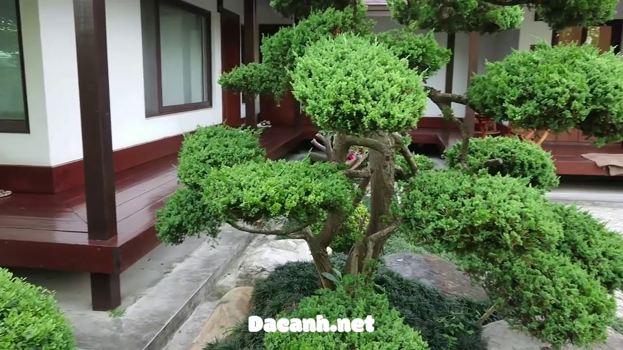 THE MOST BEAUTIFUL Backyard an KOI POND in Japan - Japanese Garden Design