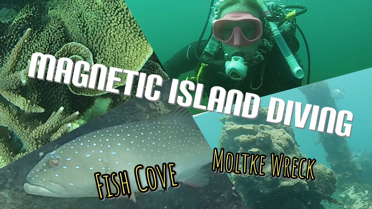 Scuba Diving Magnetic Island || Moltke Wreck & Fish Cove
