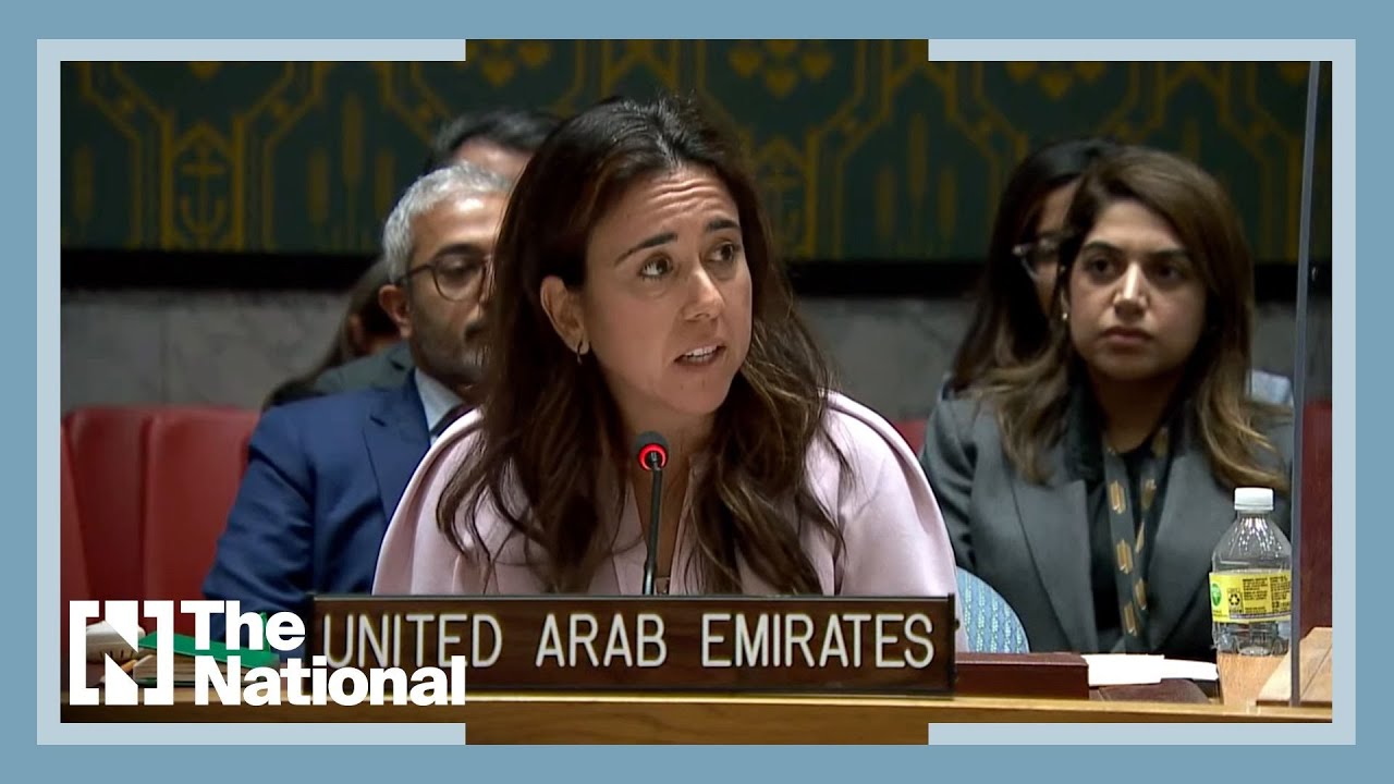 UAE calls for compromise after failed UN resolution on Syrian aid