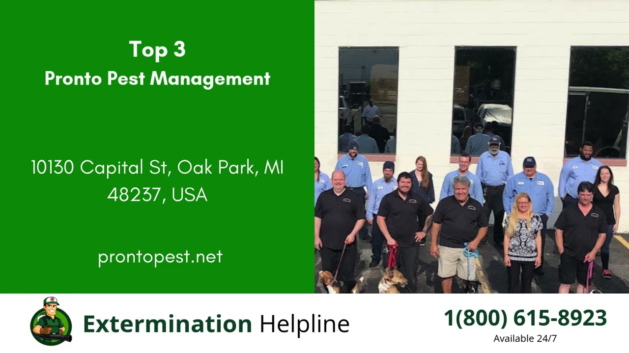 Top 3 Exterminators in Royal Oak