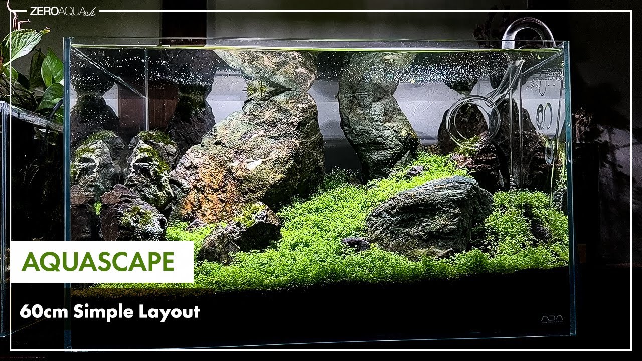 60cm水槽 気泡が美しいキューバパールグラスのシンプル水景　/aquascape/aquarium/60cm tank/vlog/アクアリウム