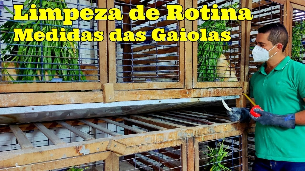 Limpando as Gaiolas