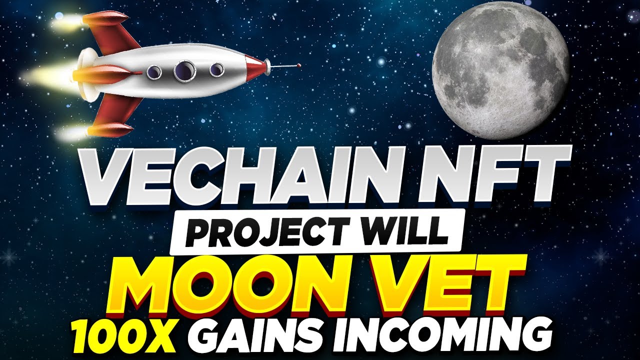 THIS VECHAIN PROJECT COULD MAKE YOU MILLIONS! VNFT ECOSYSTEM BOOMING!