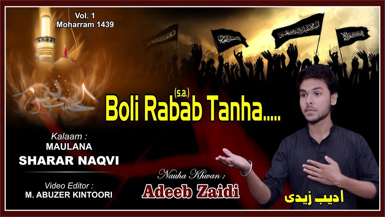 Boli Rabab Tanha Watan Jaa Ke Kya Karoongi | Adeeb Zaidi | Husain Ka Matam | Moharram 1439 2017-2018