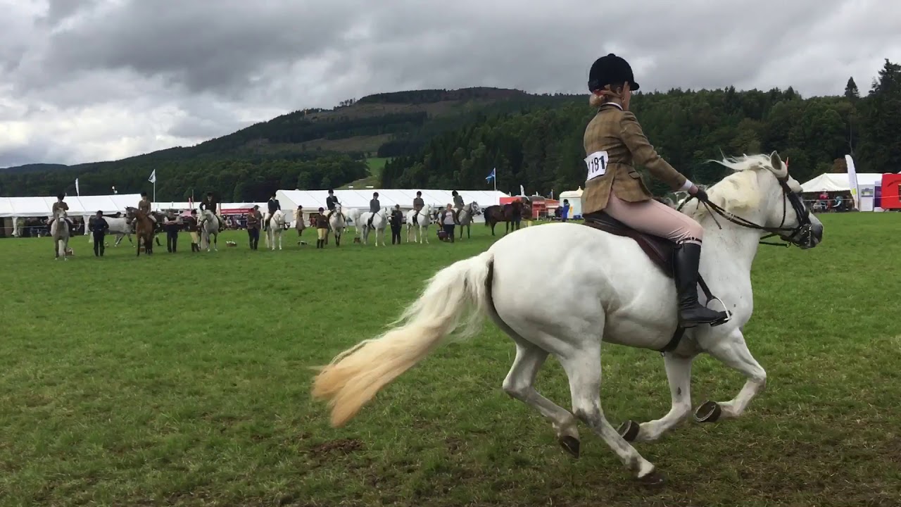 Ridden Connemara class Blair Atholl 2017
