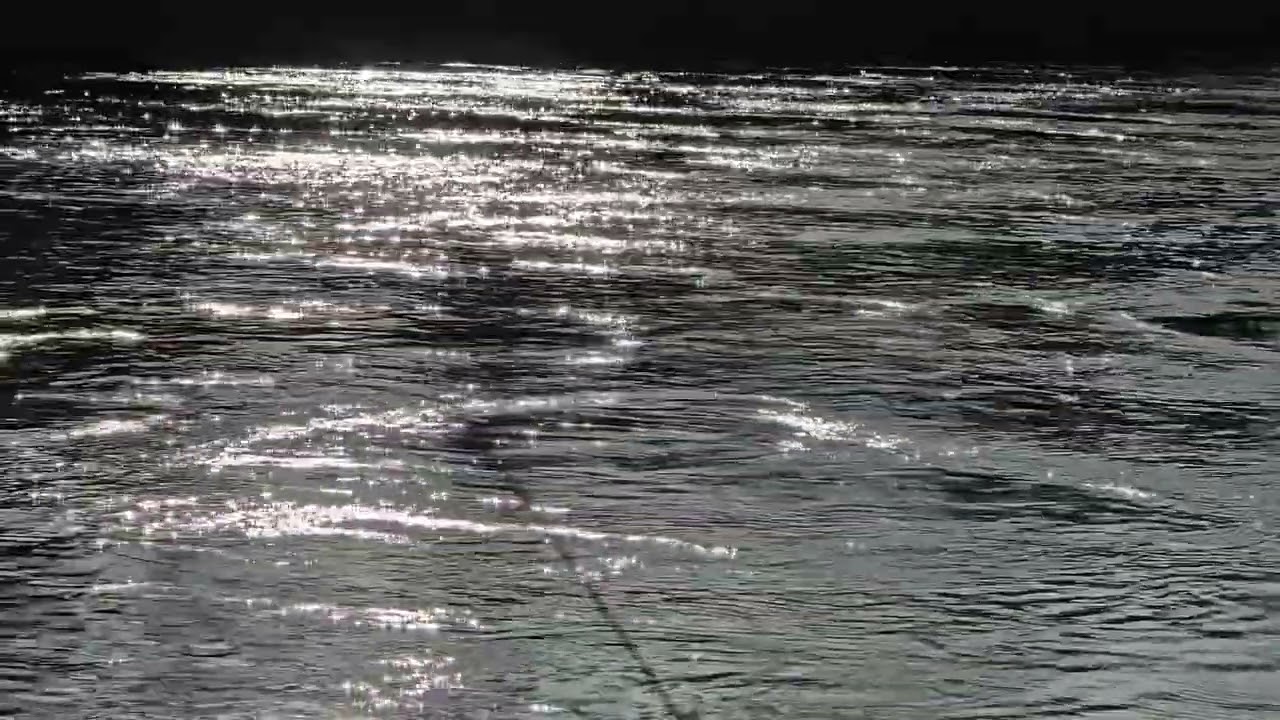 Sun Glistens on Chehalis River (no commentary)