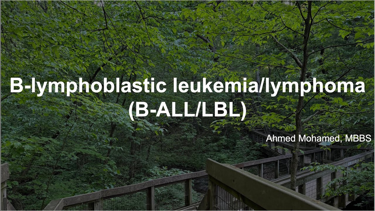 Understanding B-Lymphoblastic Leukemia/Lymphoma: Comprehensive Guide
