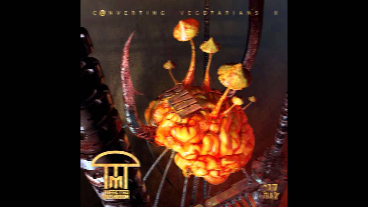 Infected Mushroom - Pink Froid [HQ Audio]